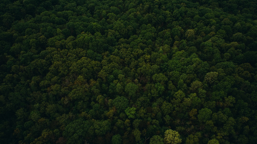 User action background image